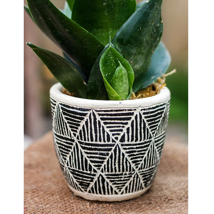 Geometric Planter